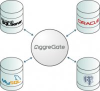 Базы данных, поддерживаемые AggreGate: MySQL, PostgreSQL, Microsoft SQL, Oracle, Sybase