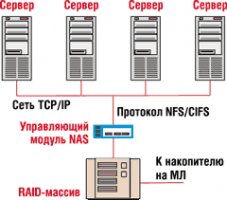 Типичная топология NAS.